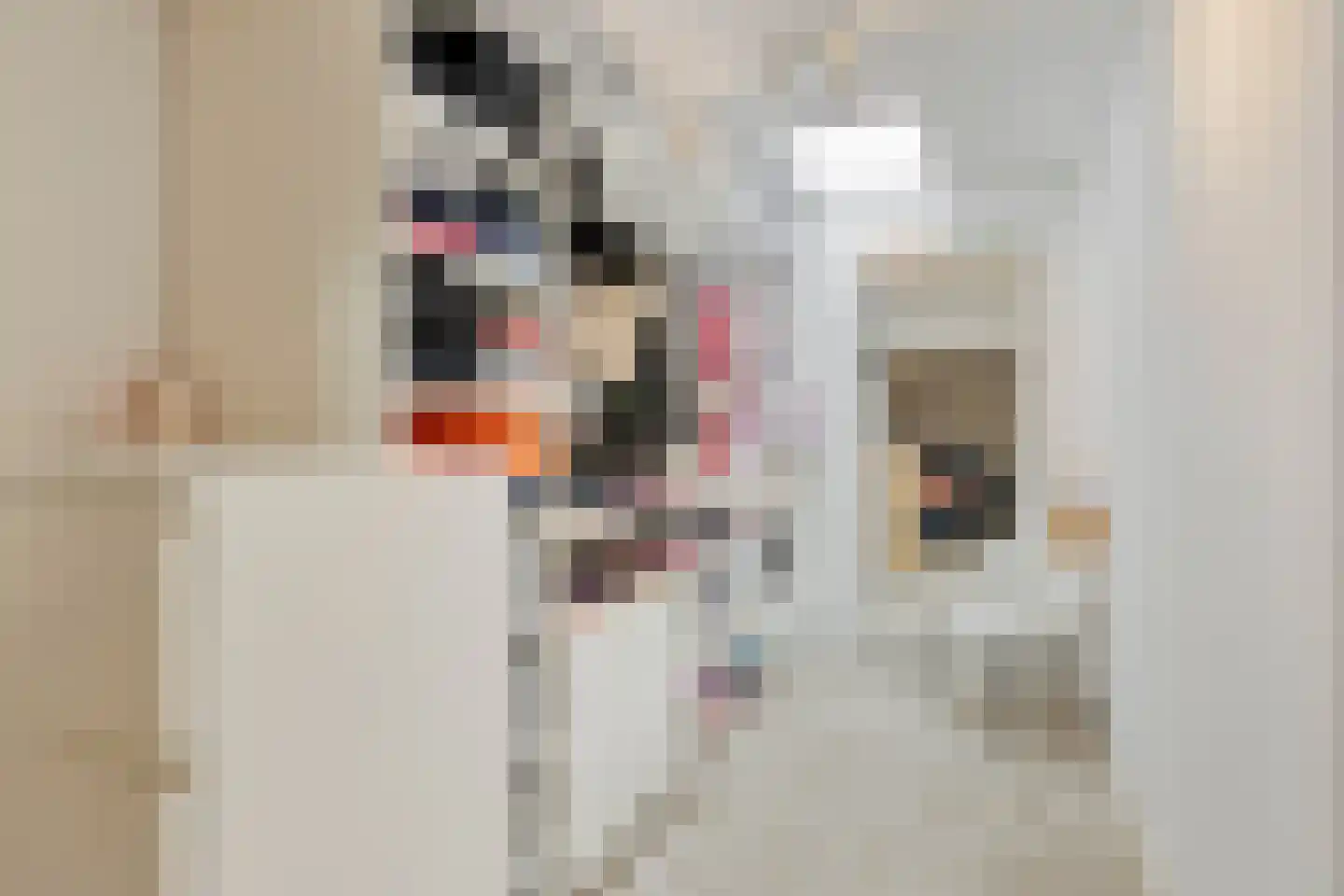 Nieuwendijk 42 B Geldrop thumbnail 18