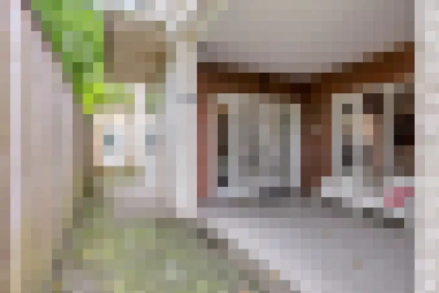 Nieuwendijk 42 B Geldrop thumbnail 24