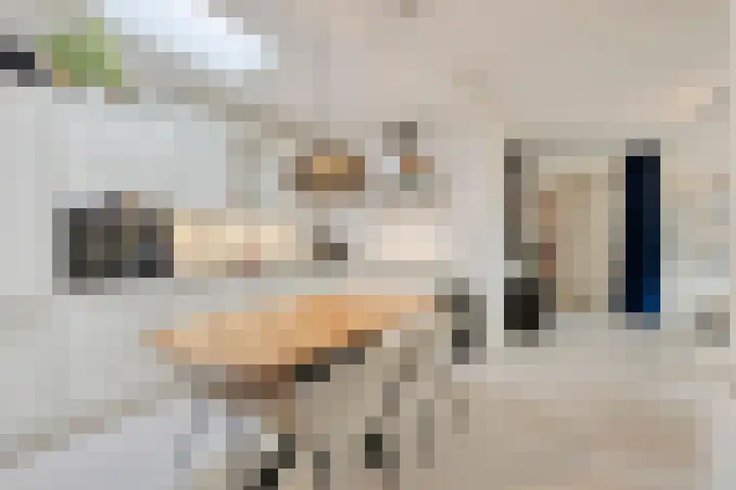 Nieuwendijk 42 B Geldrop foto 3