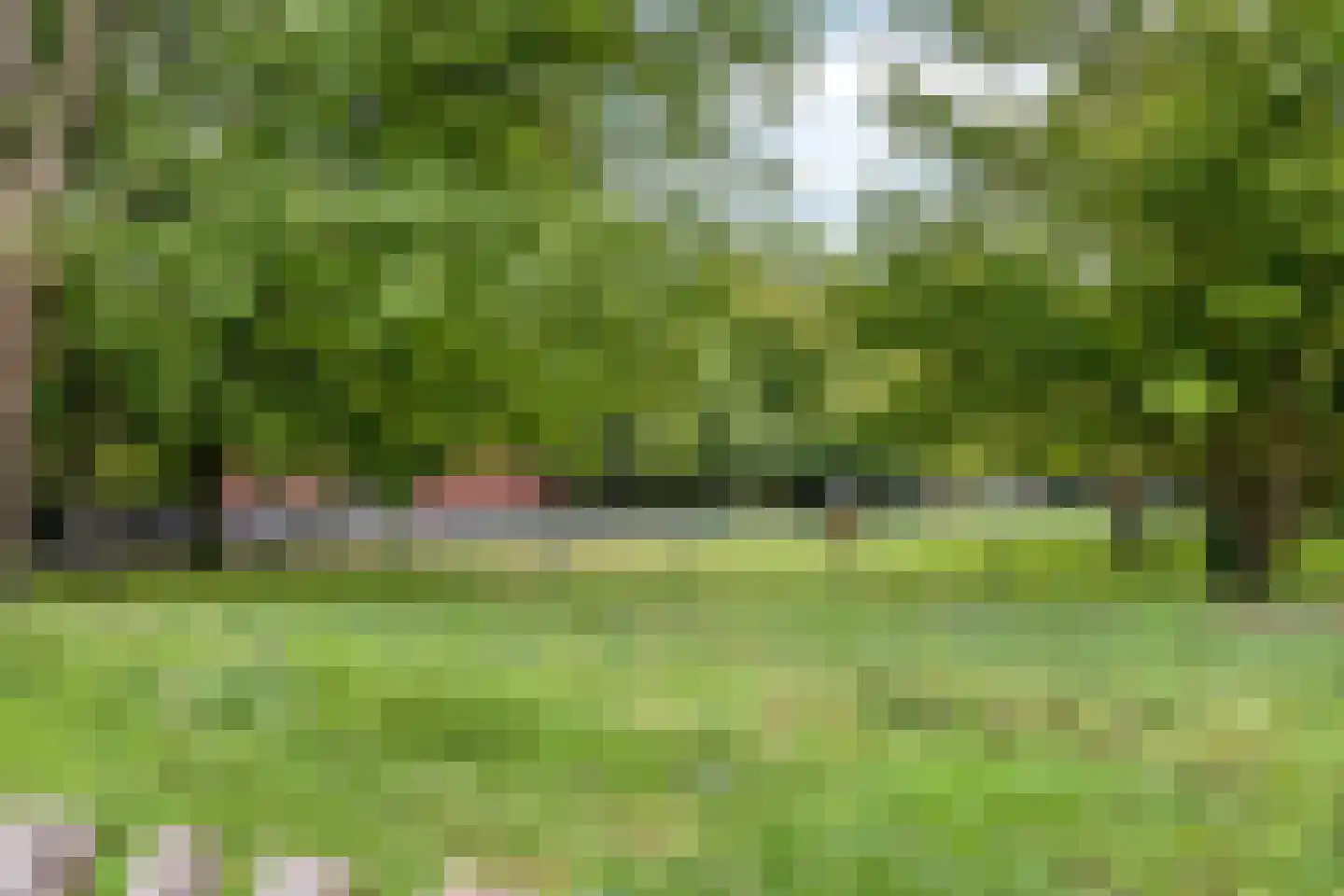 Nieuwendijk 42 B Geldrop thumbnail 35