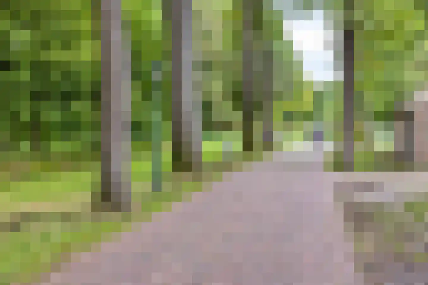 Nieuwendijk 42 B Geldrop thumbnail 37