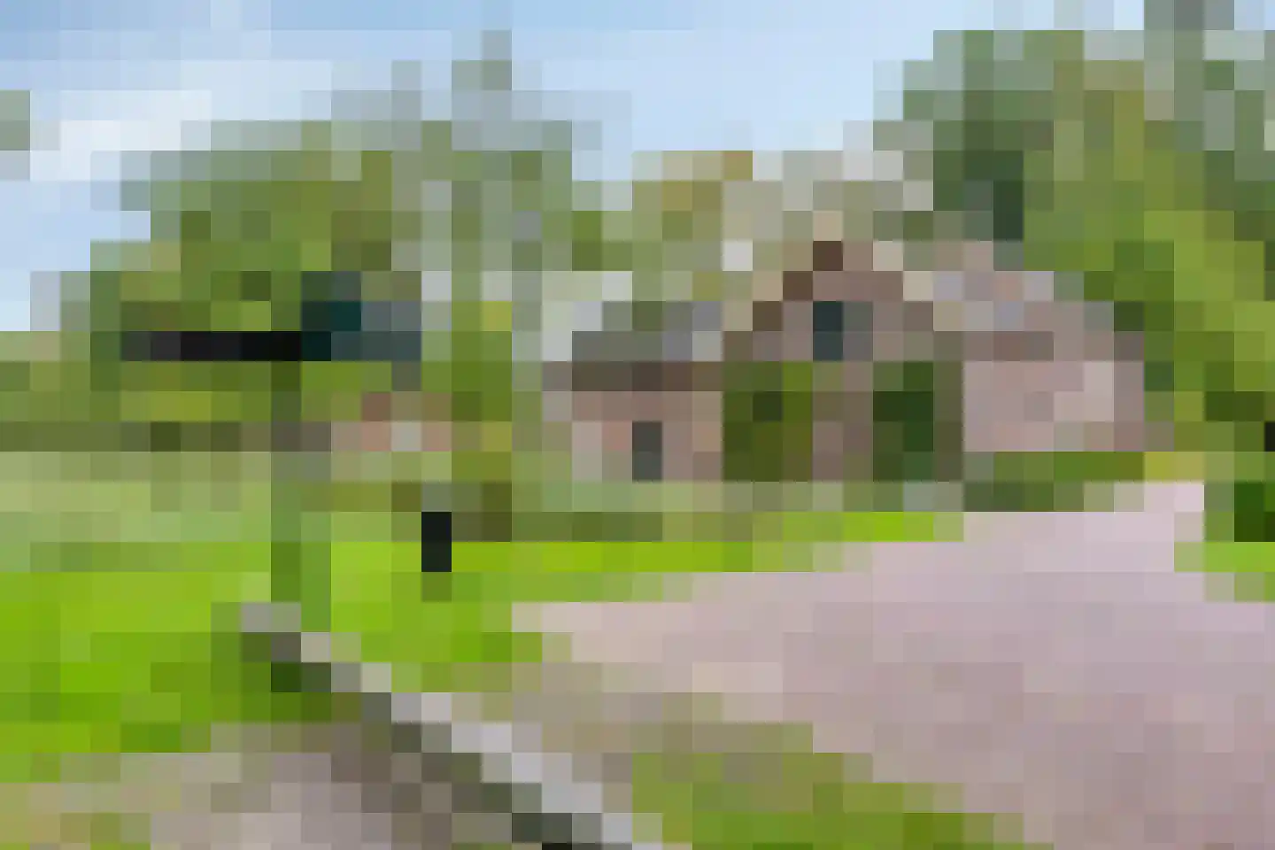 Nieuwendijk 42 B Geldrop thumbnail 38