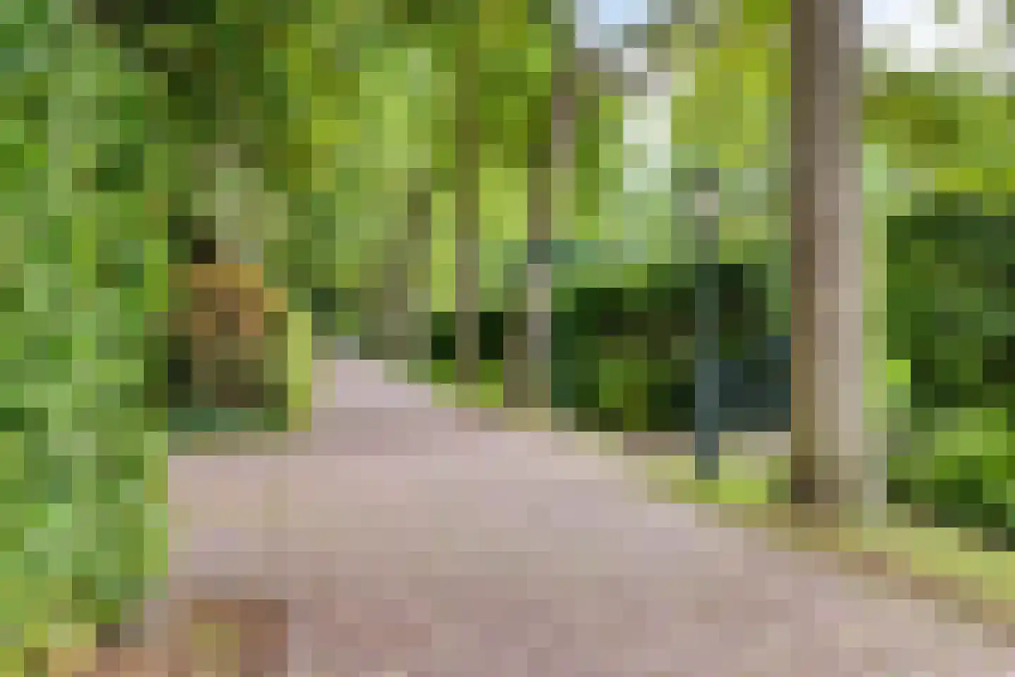Nieuwendijk 42 B Geldrop thumbnail 39