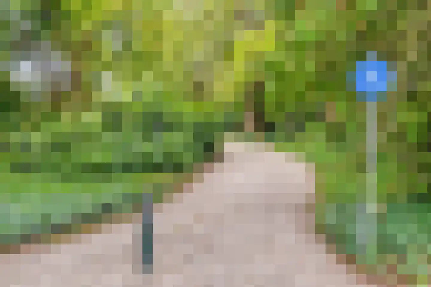 Nieuwendijk 42 B Geldrop thumbnail 41