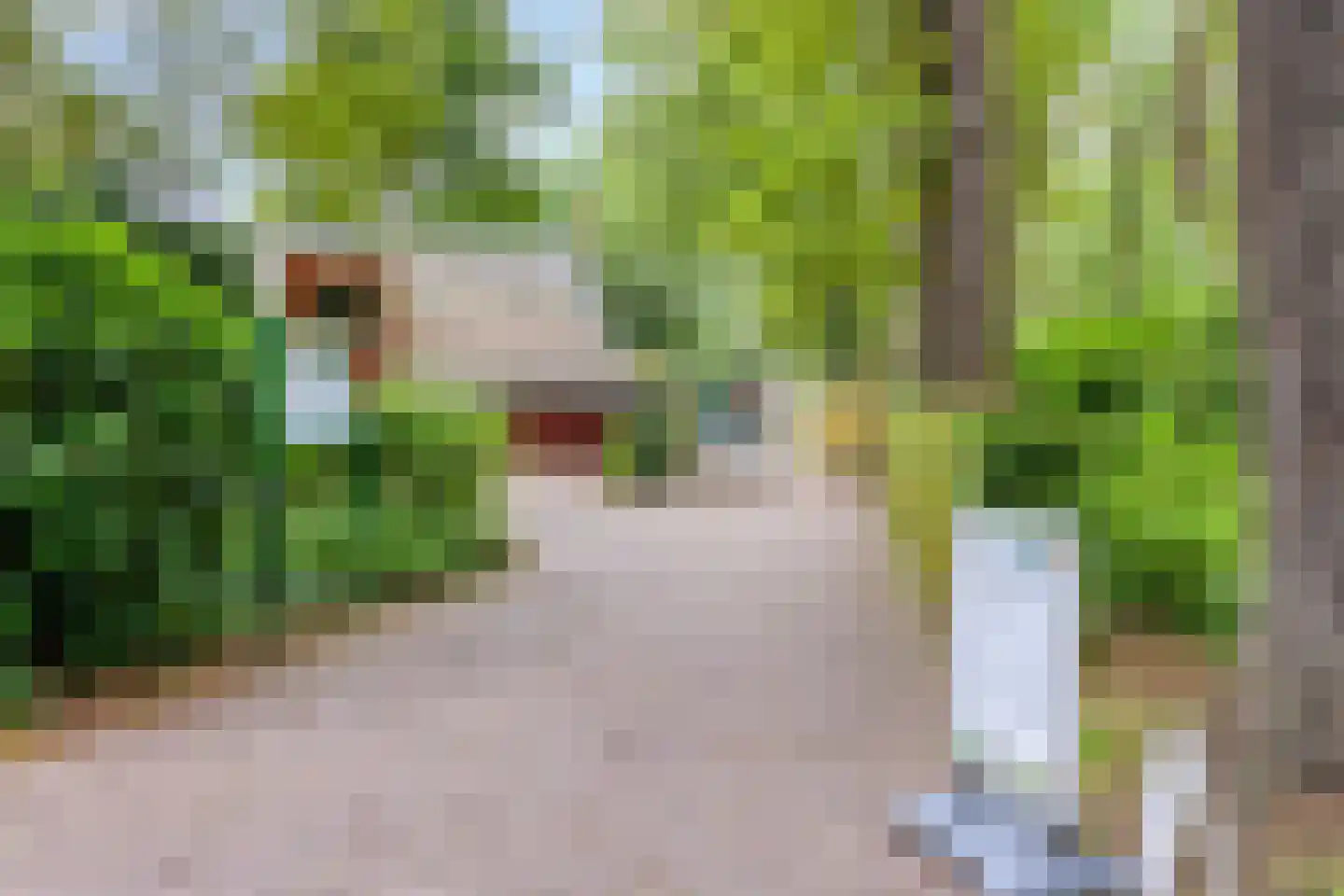 Nieuwendijk 42 B Geldrop thumbnail 44
