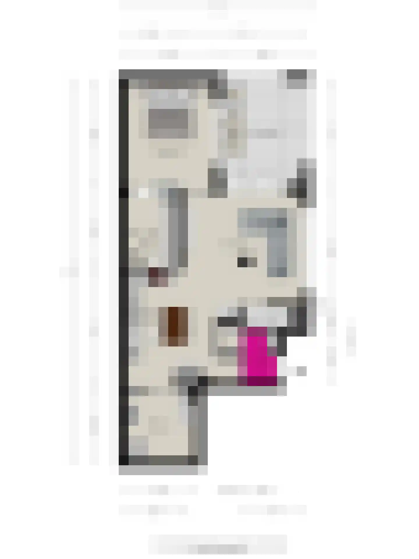 Nieuwendijk 42 B Geldrop thumbnail 45