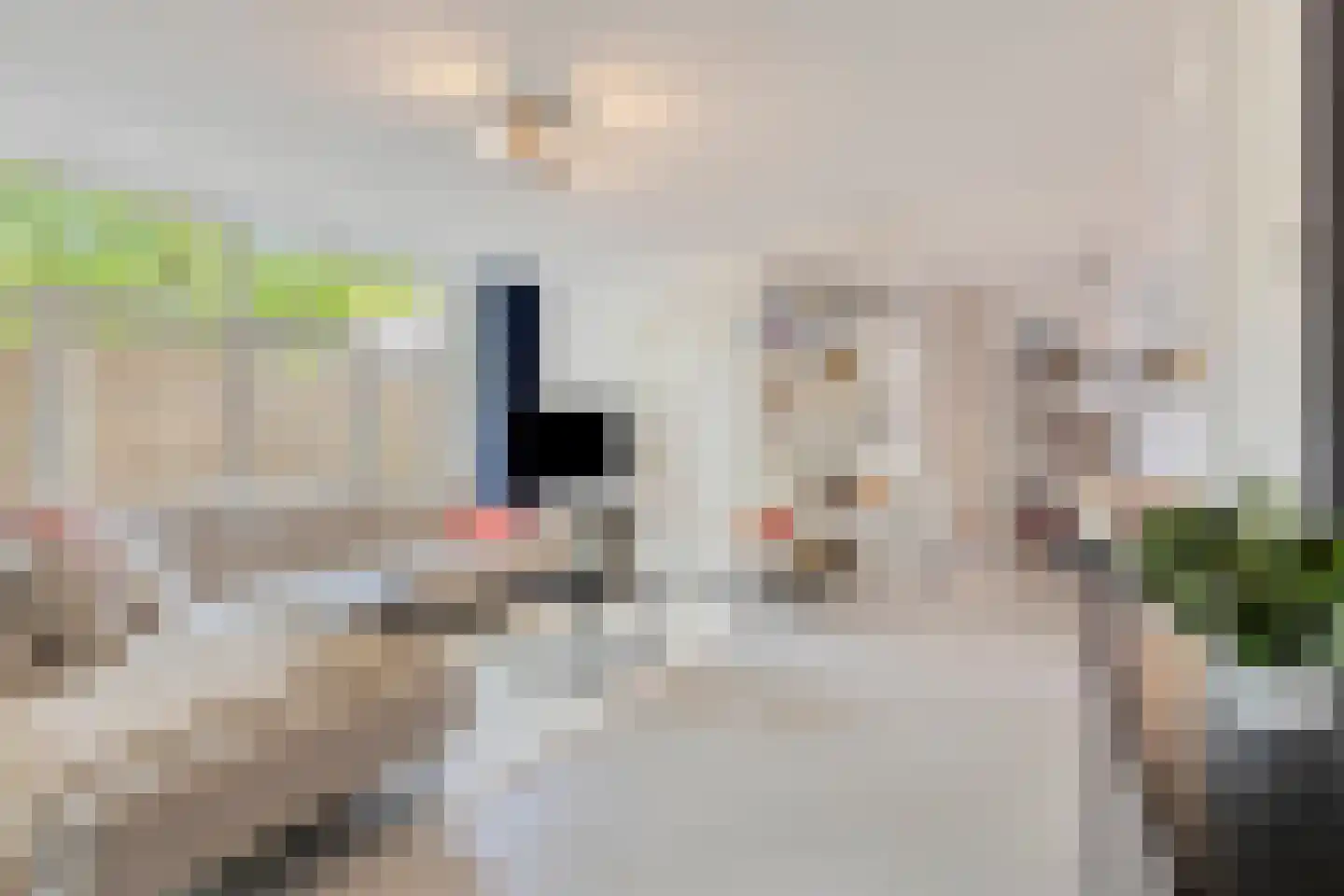 Nieuwendijk 42 B Geldrop thumbnail 5