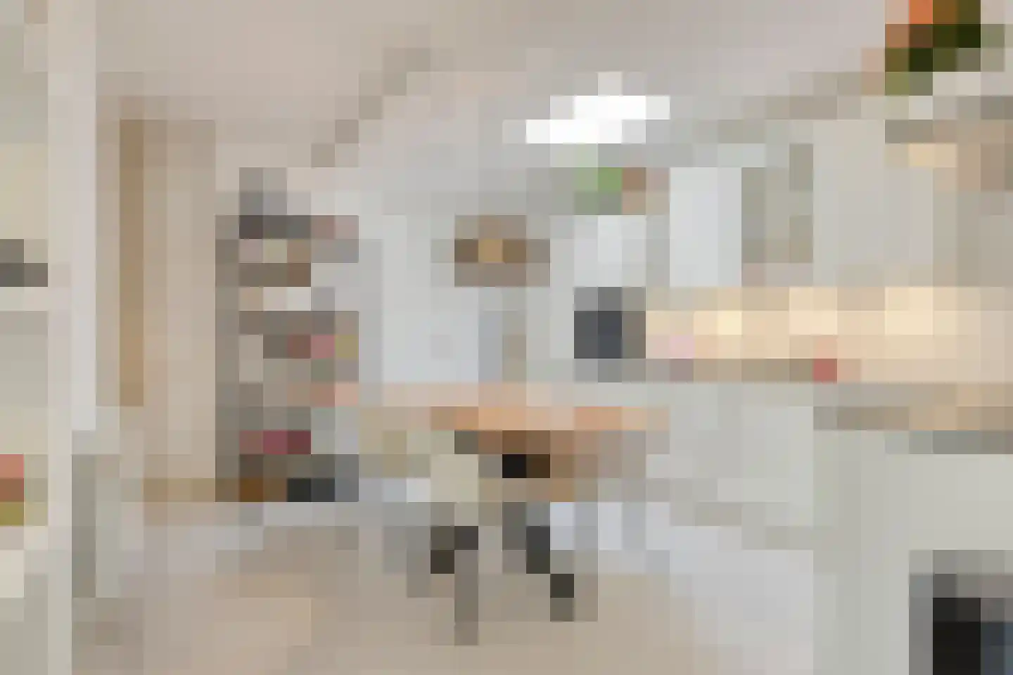 Nieuwendijk 42 B Geldrop thumbnail 6
