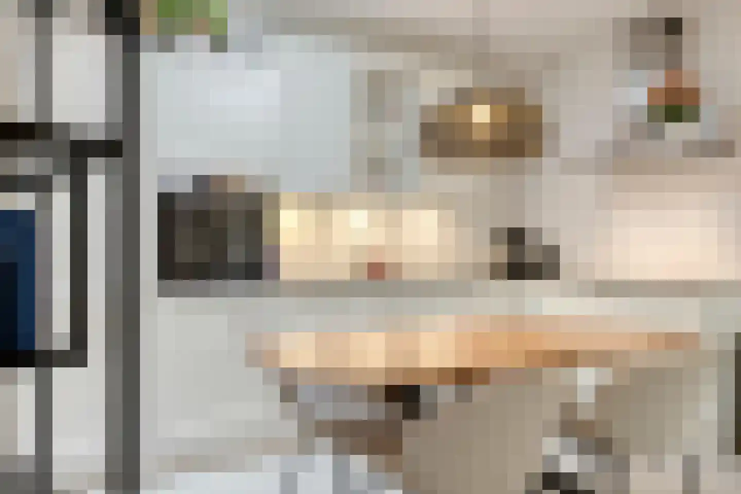 Nieuwendijk 42 B Geldrop thumbnail 7