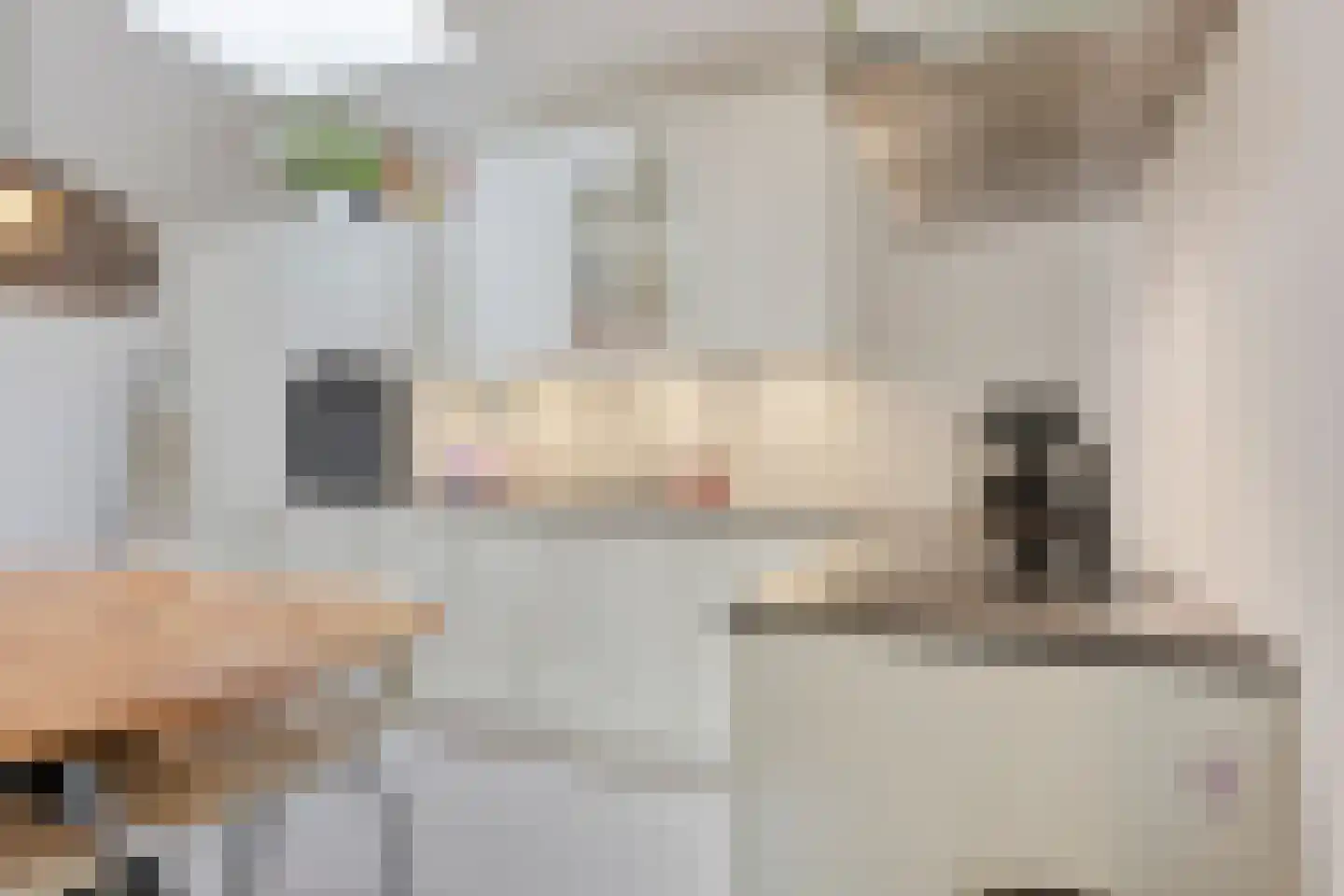 Nieuwendijk 42 B Geldrop thumbnail 8