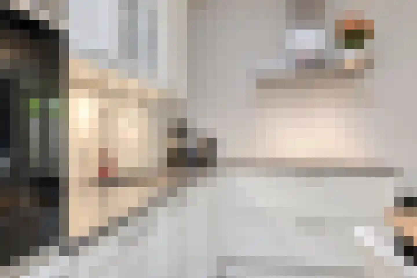 Nieuwendijk 42 B Geldrop thumbnail 9