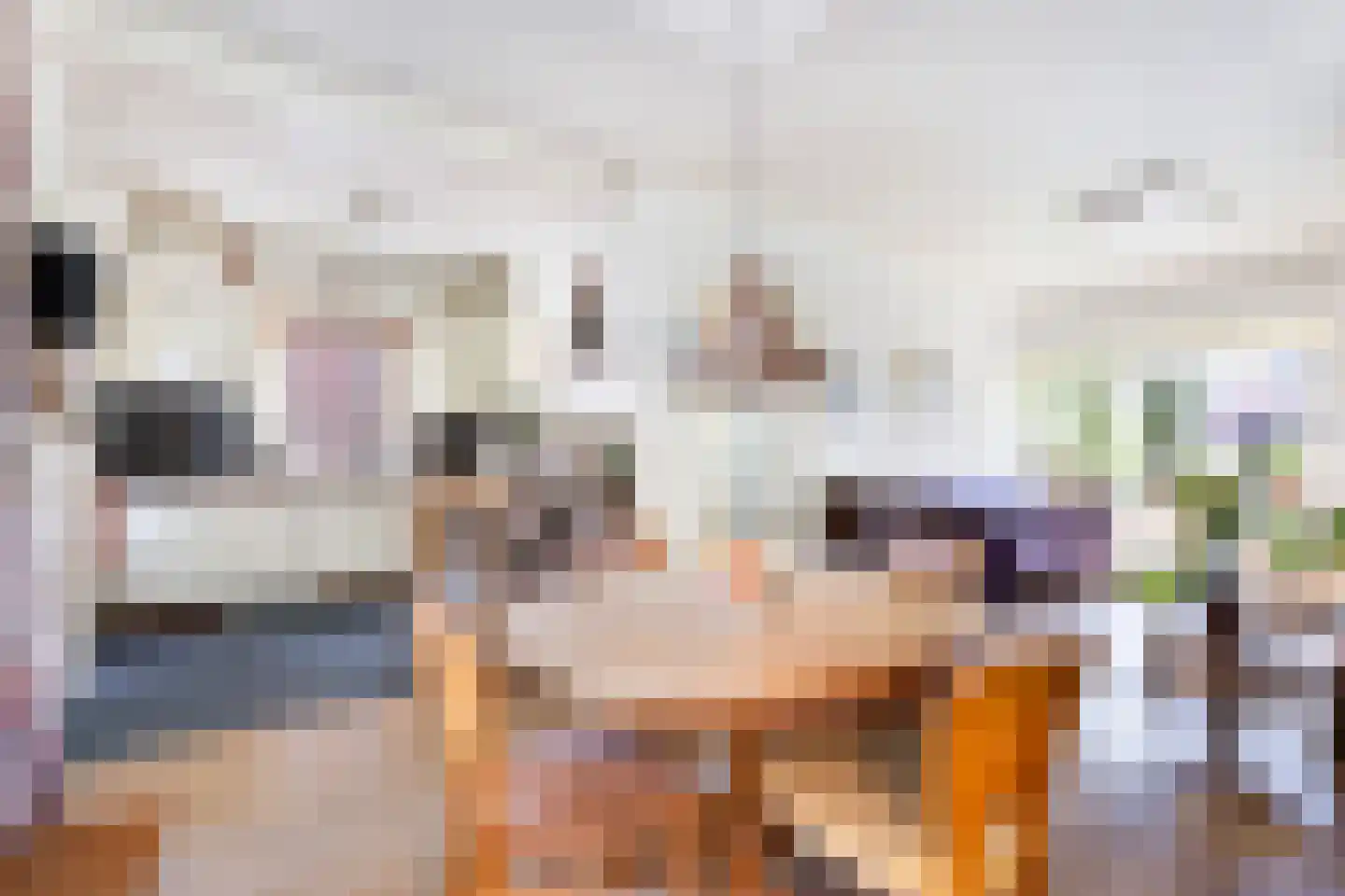 Nieuwendijk 42 Woerden thumbnail 12