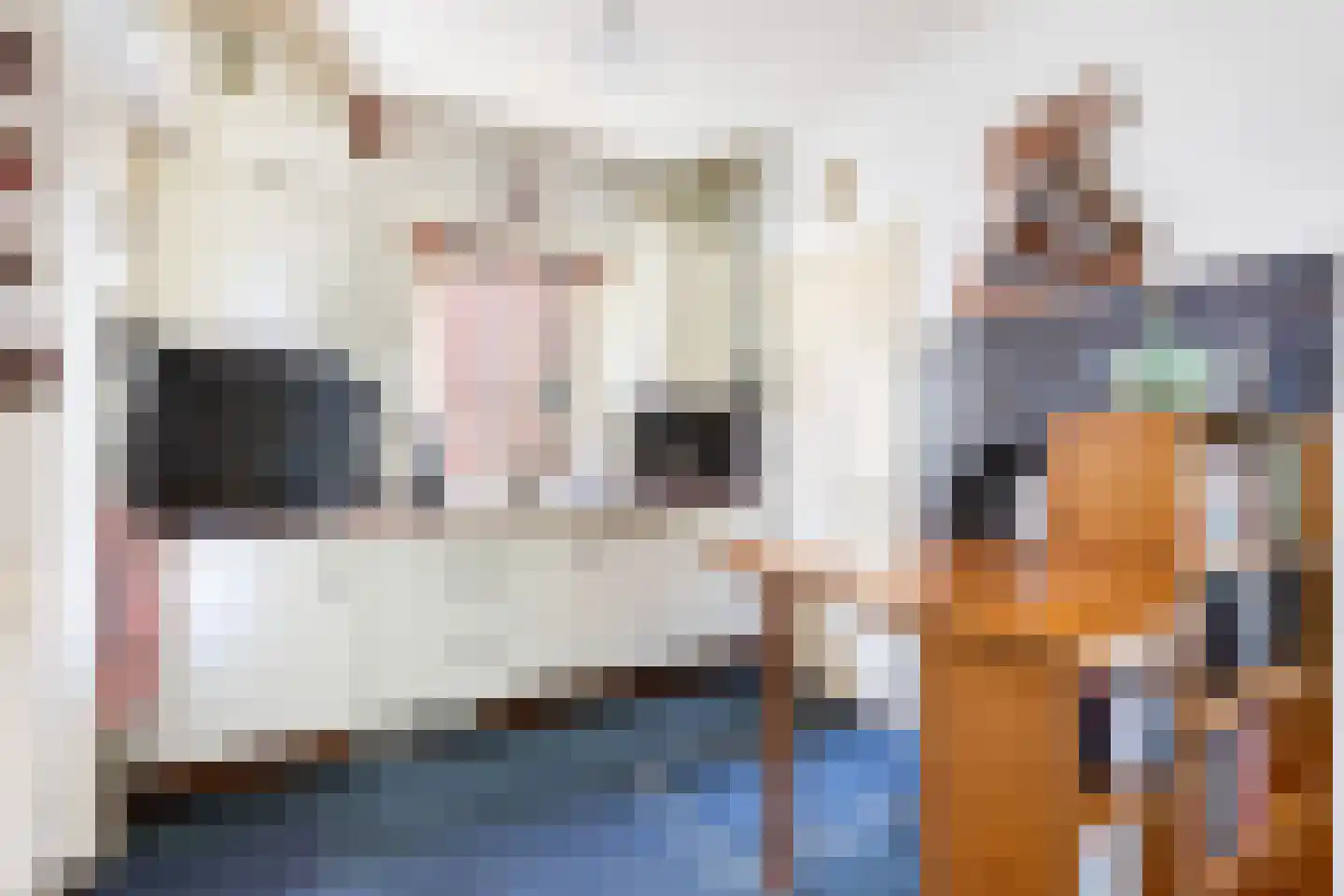 Nieuwendijk 42 Woerden thumbnail 13