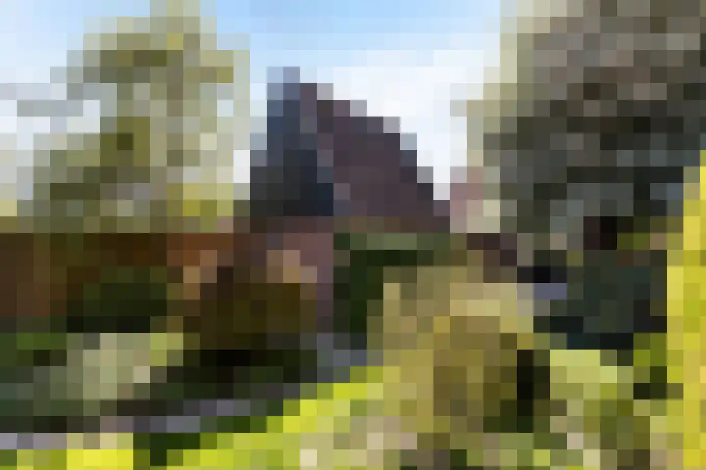 Nieuwendijk 42 Woerden thumbnail 17