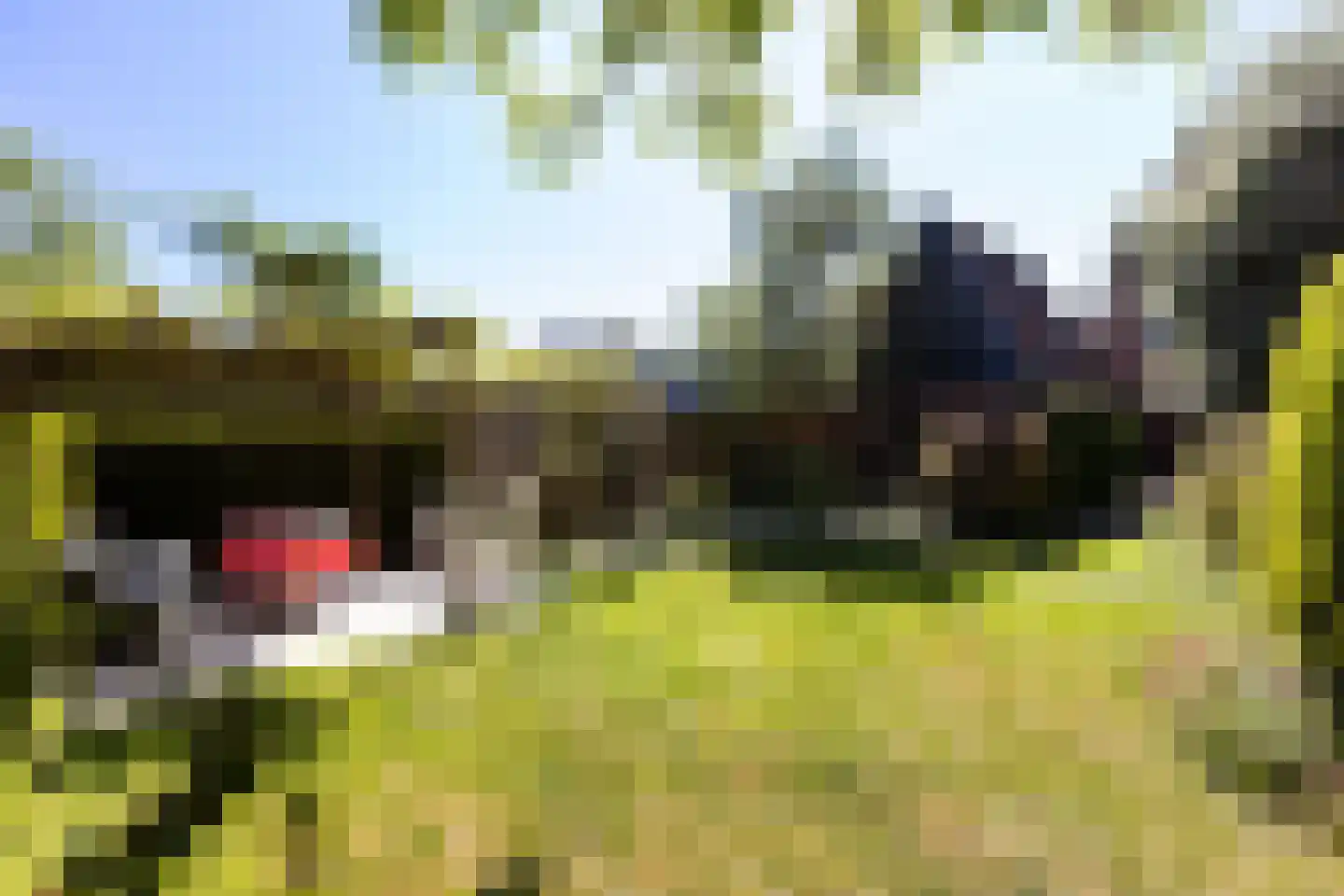 Nieuwendijk 42 Woerden thumbnail 18
