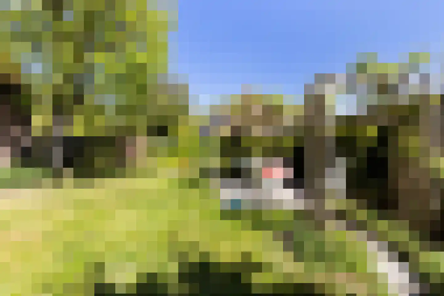 Nieuwendijk 42 Woerden thumbnail 19