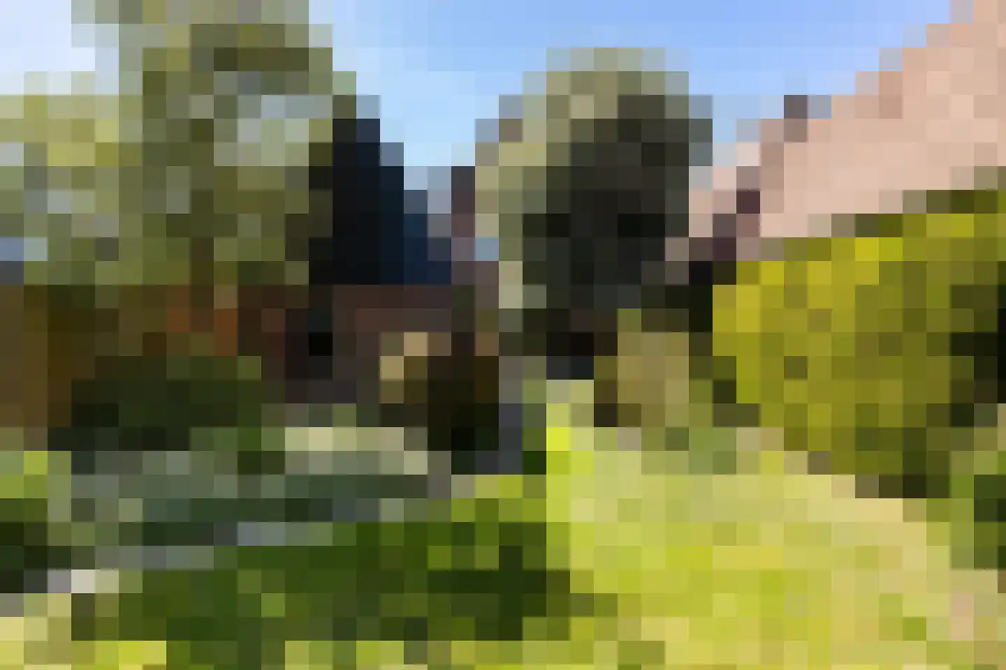 Nieuwendijk 42 Woerden thumbnail 20