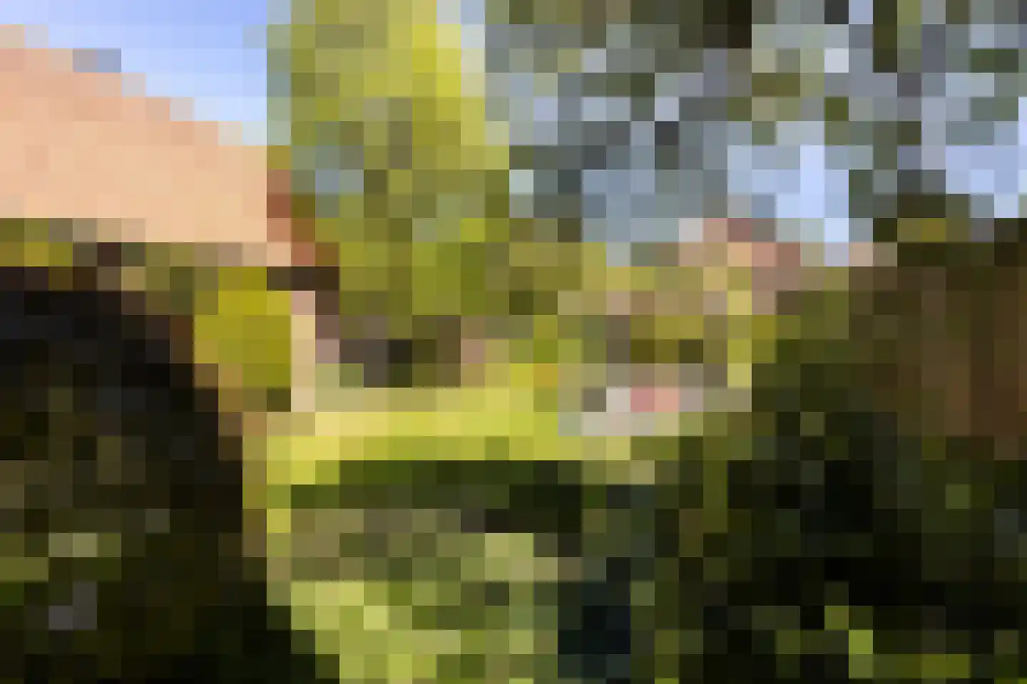 Nieuwendijk 42 Woerden thumbnail 21