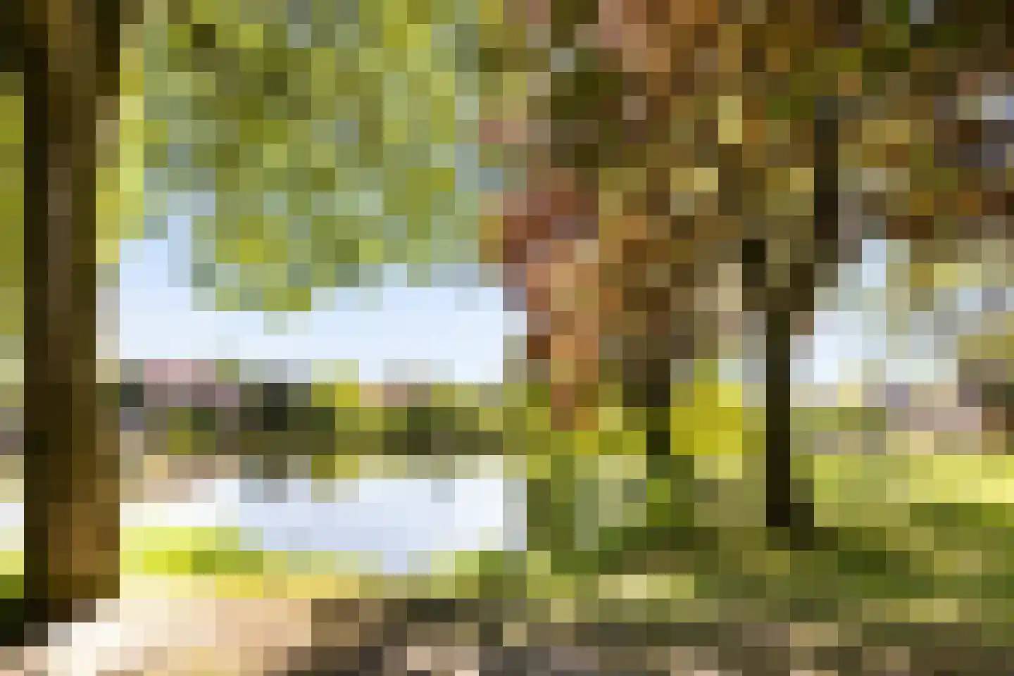 Nieuwendijk 42 Woerden thumbnail 34