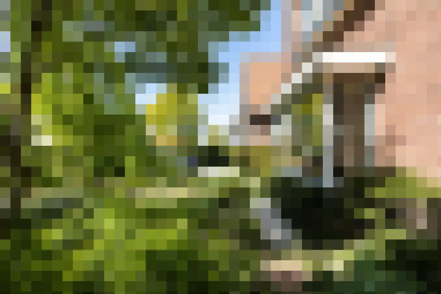 Nieuwendijk 42 Woerden thumbnail 4