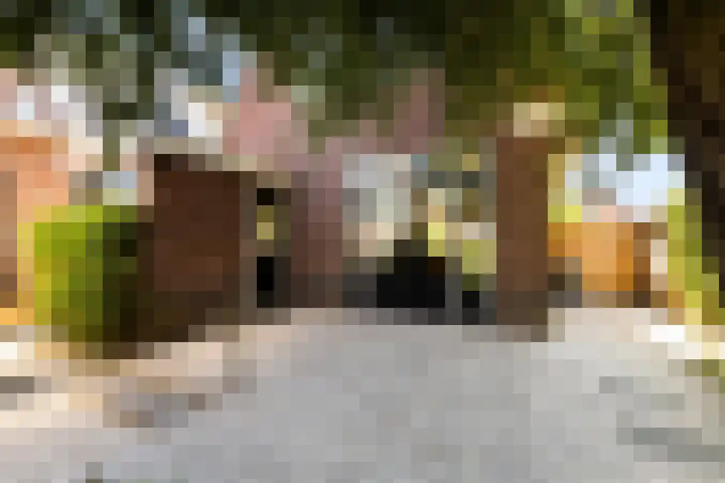Nieuwendijk 42 Woerden thumbnail 5