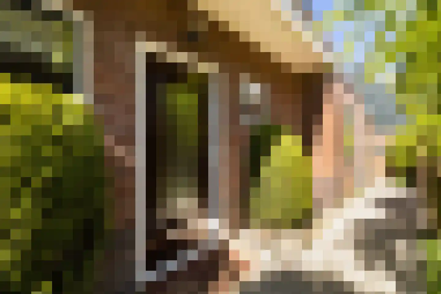 Nieuwendijk 42 Woerden thumbnail 6