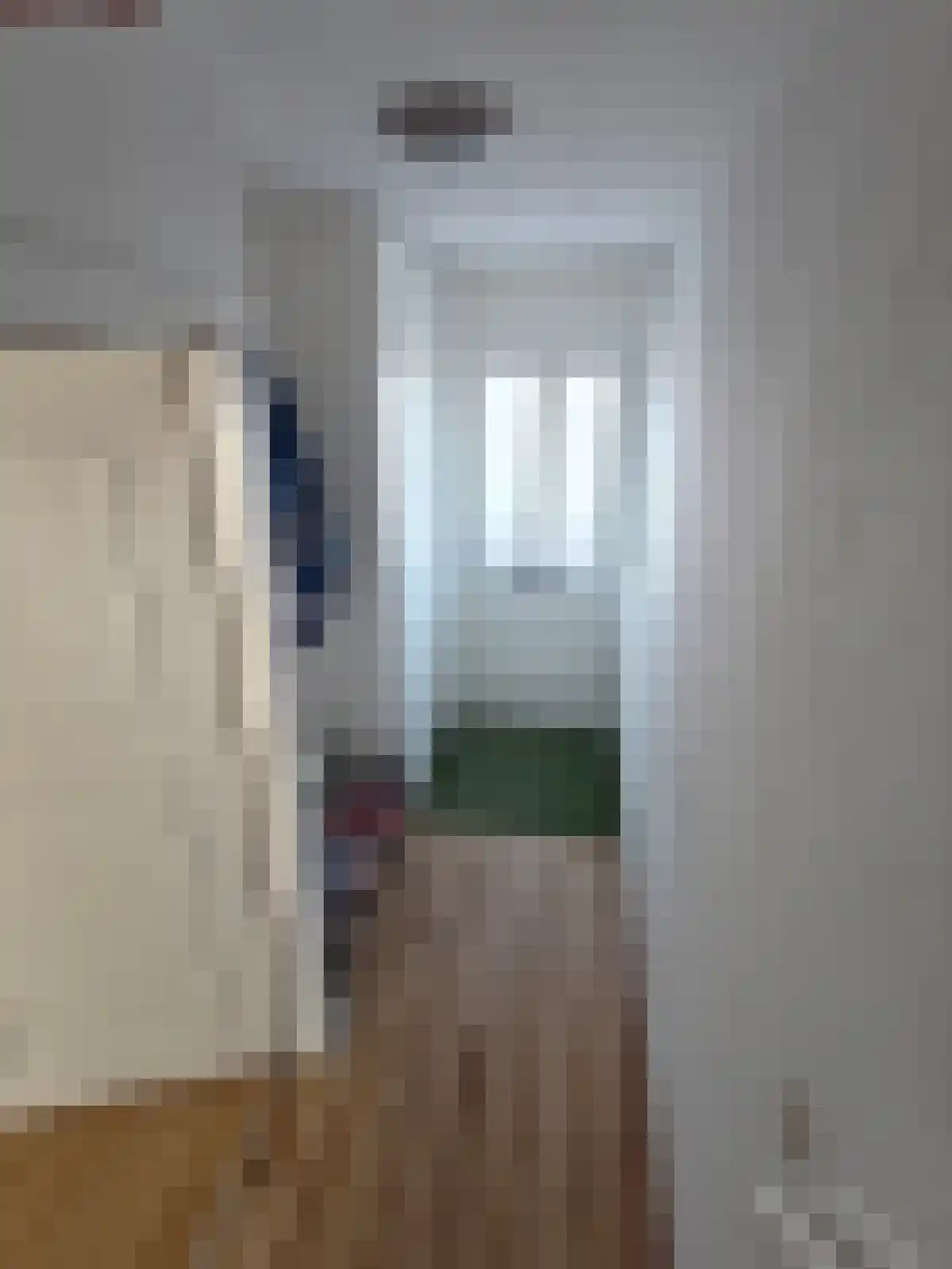 Nieuwendijk 43 Heeze thumbnail 4