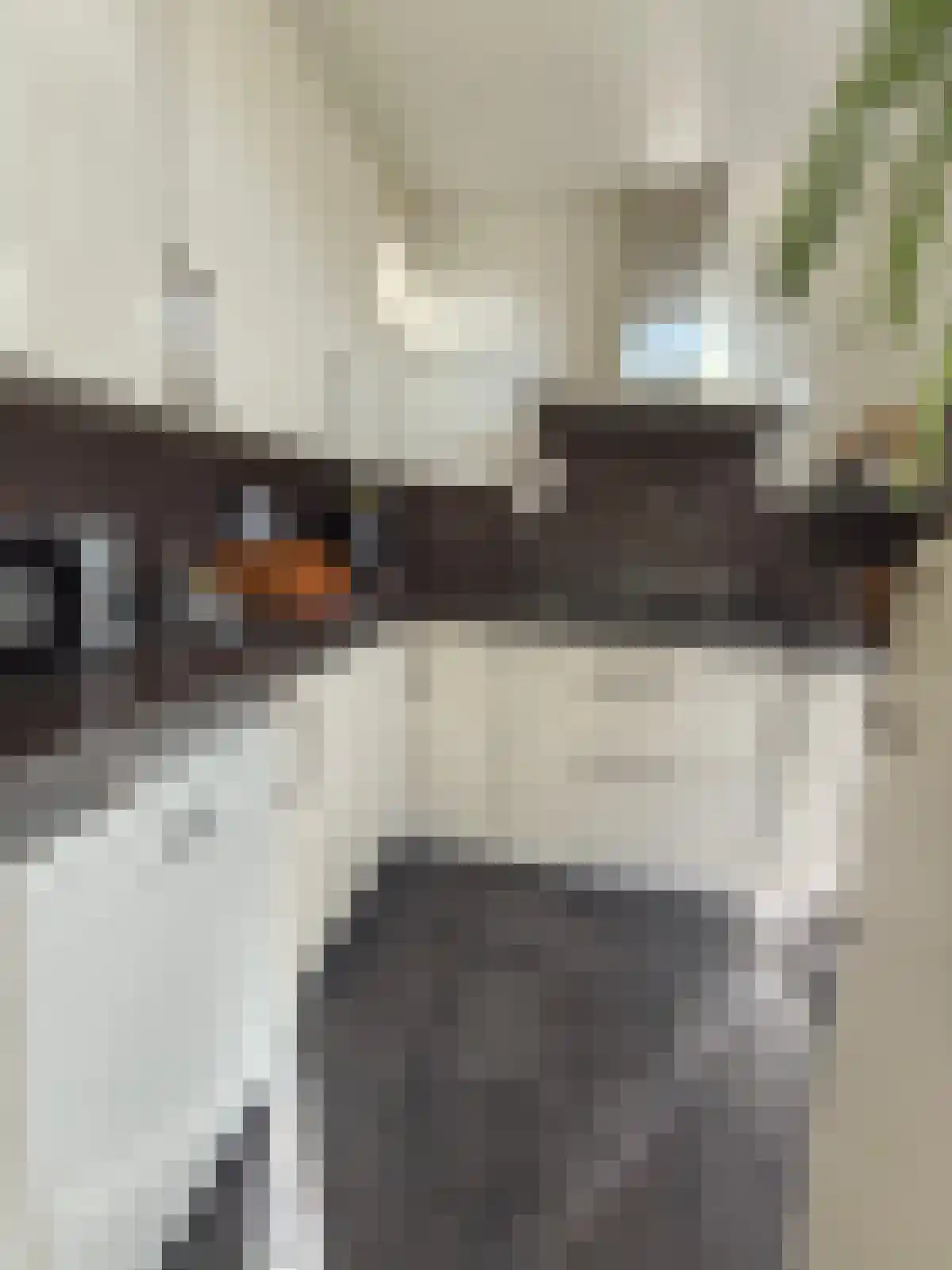 Nieuwendijk 43 Heeze thumbnail 5