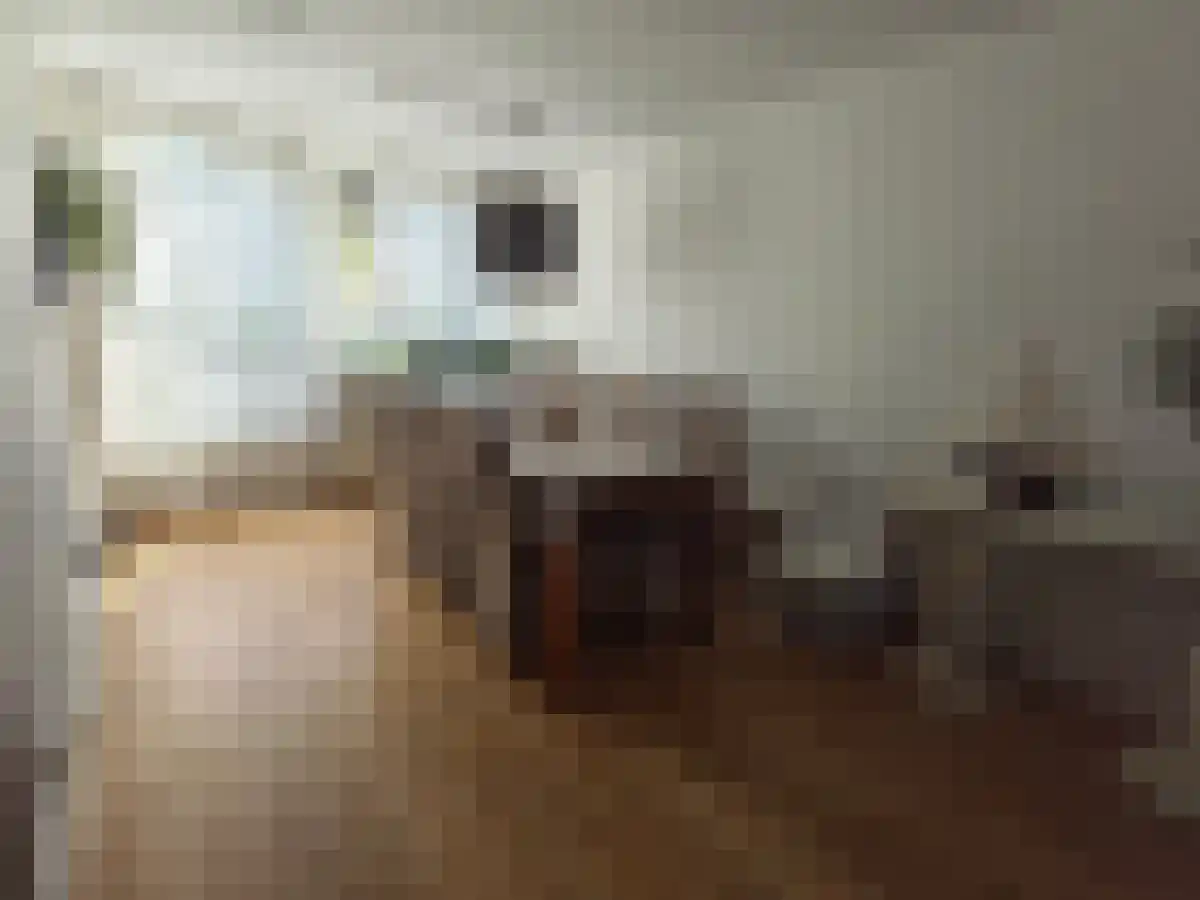 Nieuwendijk 43 Heeze thumbnail 6