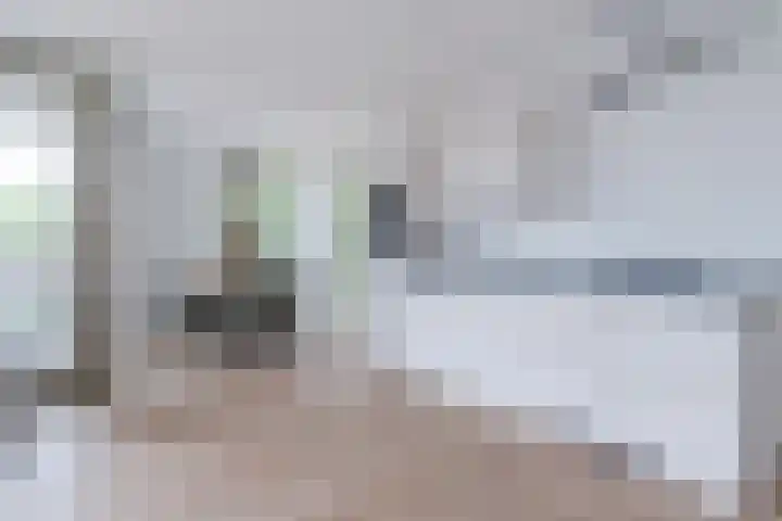Nieuwendijk 5 A Geldrop thumbnail 13