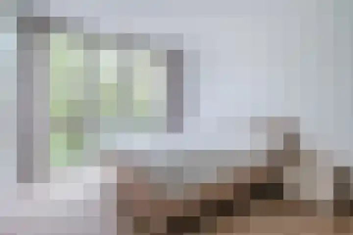 Nieuwendijk 5 A Geldrop thumbnail 21