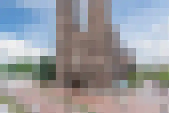 Nieuwendijk 5 A Geldrop thumbnail 28