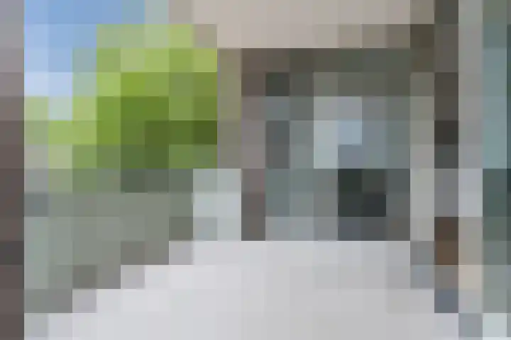Nieuwendijk 5 A Geldrop foto 3