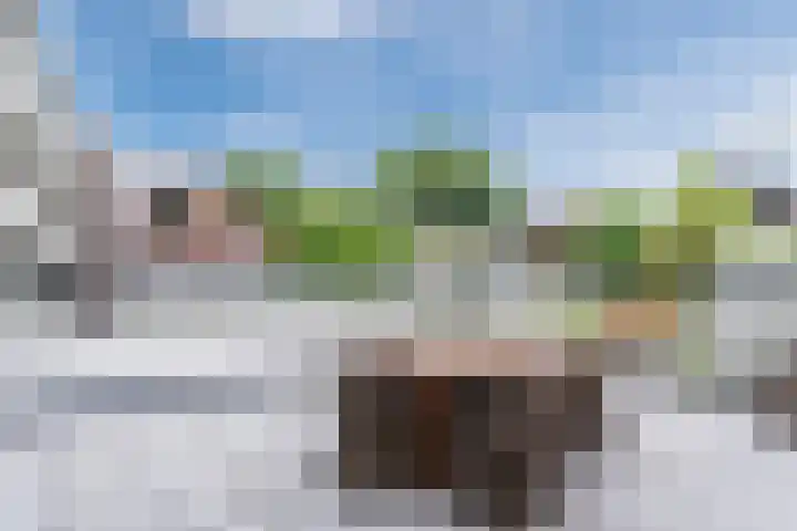 Nieuwendijk 5 A Geldrop thumbnail 30