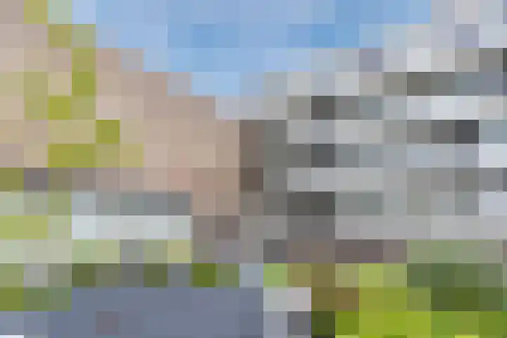 Nieuwendijk 5 A Geldrop thumbnail 32