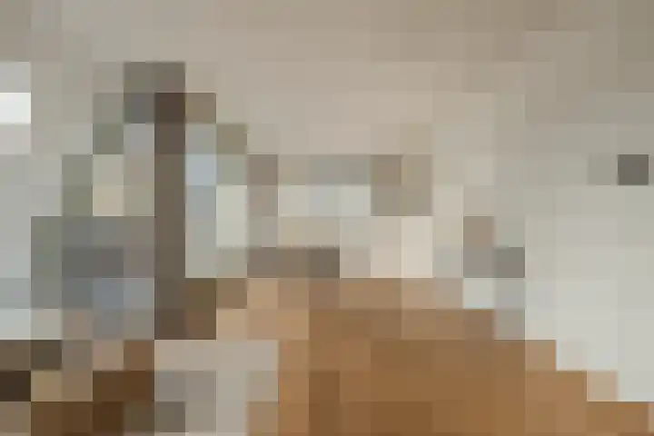 Nieuwendijk 5 Geldrop thumbnail 11