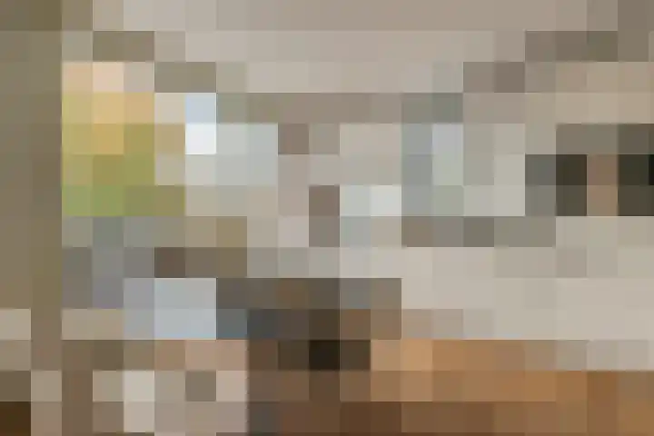 Nieuwendijk 5 Geldrop thumbnail 12