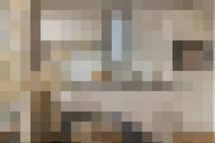 Nieuwendijk 5 Geldrop thumbnail 13