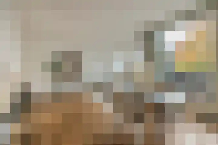 Nieuwendijk 5 Geldrop thumbnail 14