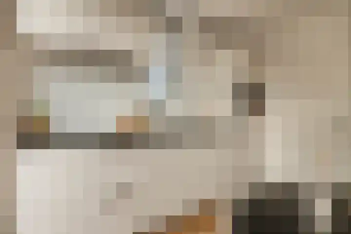 Nieuwendijk 5 Geldrop thumbnail 15