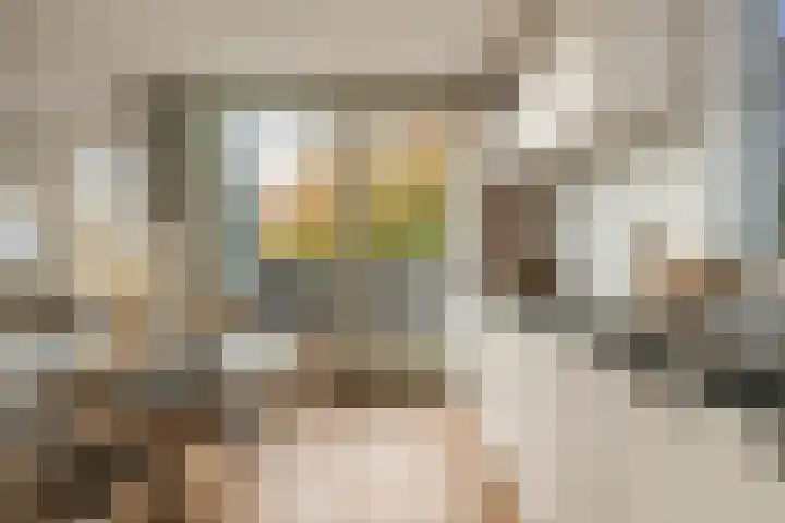 Nieuwendijk 5 Geldrop thumbnail 18