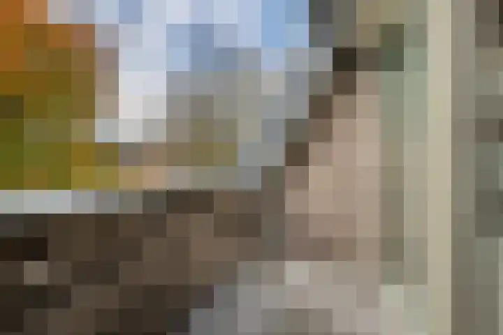 Nieuwendijk 5 Geldrop thumbnail 19