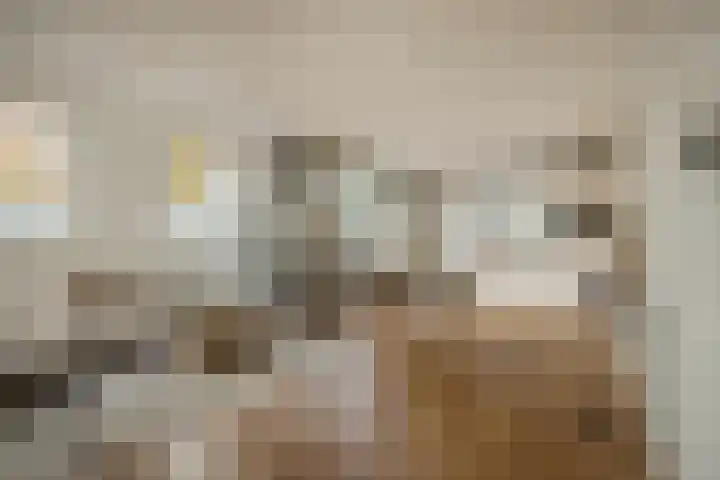 Nieuwendijk 5 Geldrop foto 2