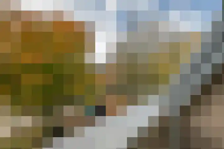 Nieuwendijk 5 Geldrop thumbnail 20
