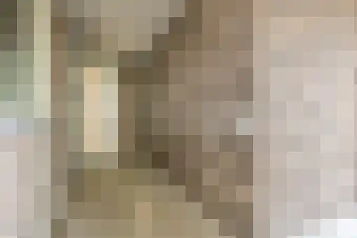 Nieuwendijk 5 Geldrop thumbnail 25