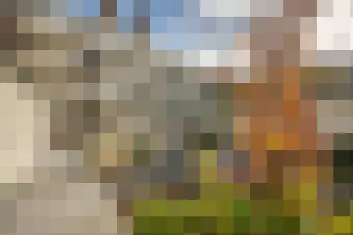 Nieuwendijk 5 Geldrop thumbnail 27