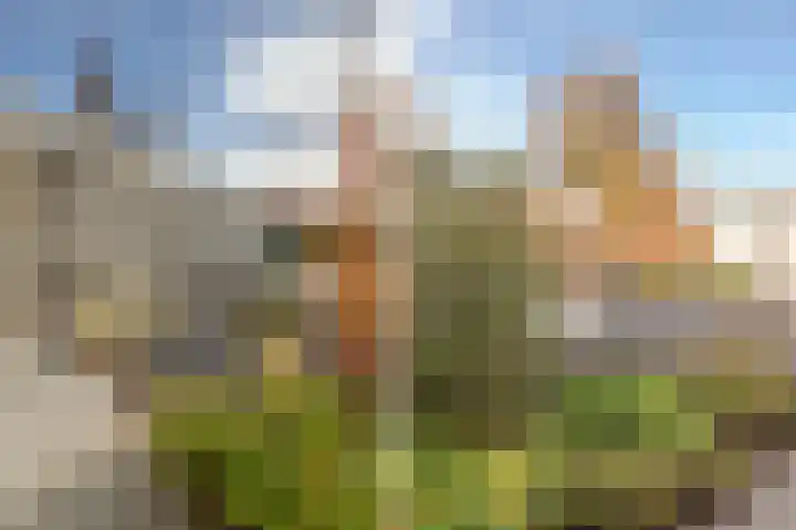 Nieuwendijk 5 Geldrop thumbnail 28