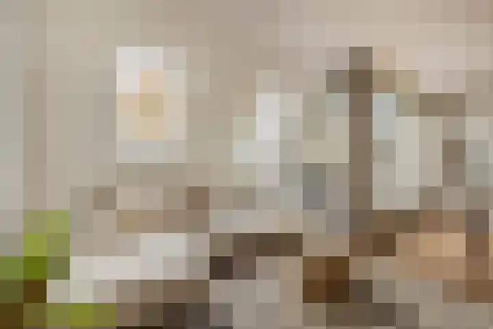 Nieuwendijk 5 Geldrop foto 3