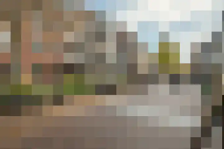 Nieuwendijk 5 Geldrop thumbnail 31