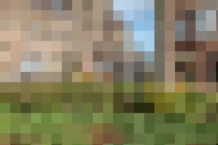 Nieuwendijk 5 Geldrop thumbnail 32